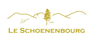 BEST WESTERN HOTEL & SPA LE SCHOENENBOURG