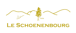 BEST WESTERN HOTEL & SPA LE SCHOENENBOURG